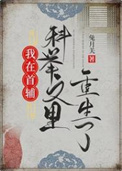 神医傻妃