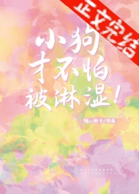 梦的衣裳