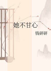 海鸥飞处