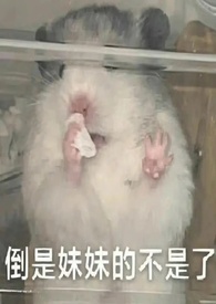 水恋月
