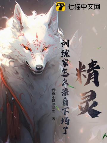 精灵：训练家怎么亲自下场了？
