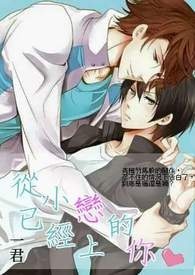 后院(常委家属枕上弄权)