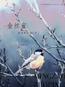 无限模拟：从木叶到型月