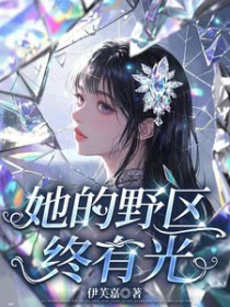 巨舰大炮时代