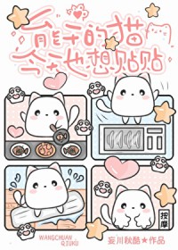 穿越后领了三个媳妇，不领犯法！