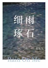 细雨琢石