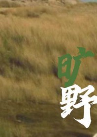 开局被超人捡到的维星人